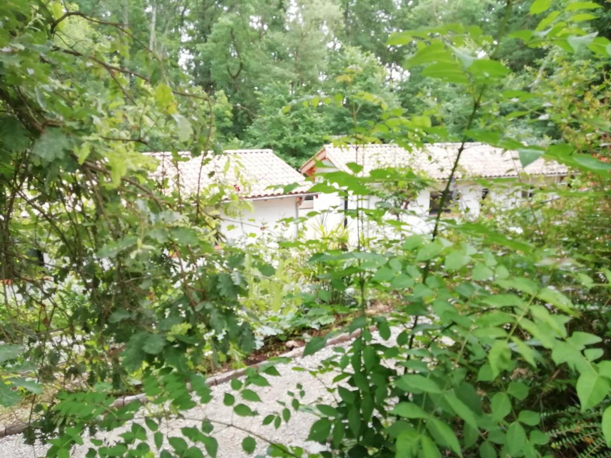 Lapeyrouse-Fossat Pause Nature. Maison Ananda A 14 Kms De Toulouse Avec Parking Privatif מראה חיצוני תמונה
